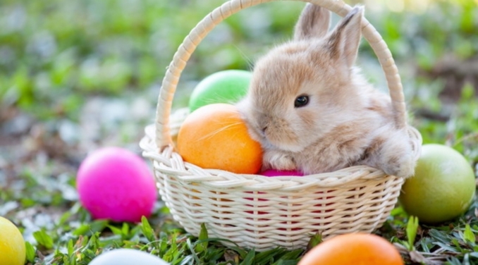 BUONA PASQUA 2025 - La vecchia Gallina                                              ...cucina per passione.